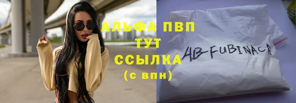 спайс Богданович