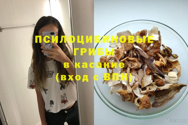 тгк Богородицк