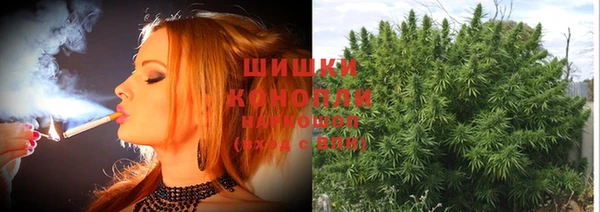 спайс Богданович